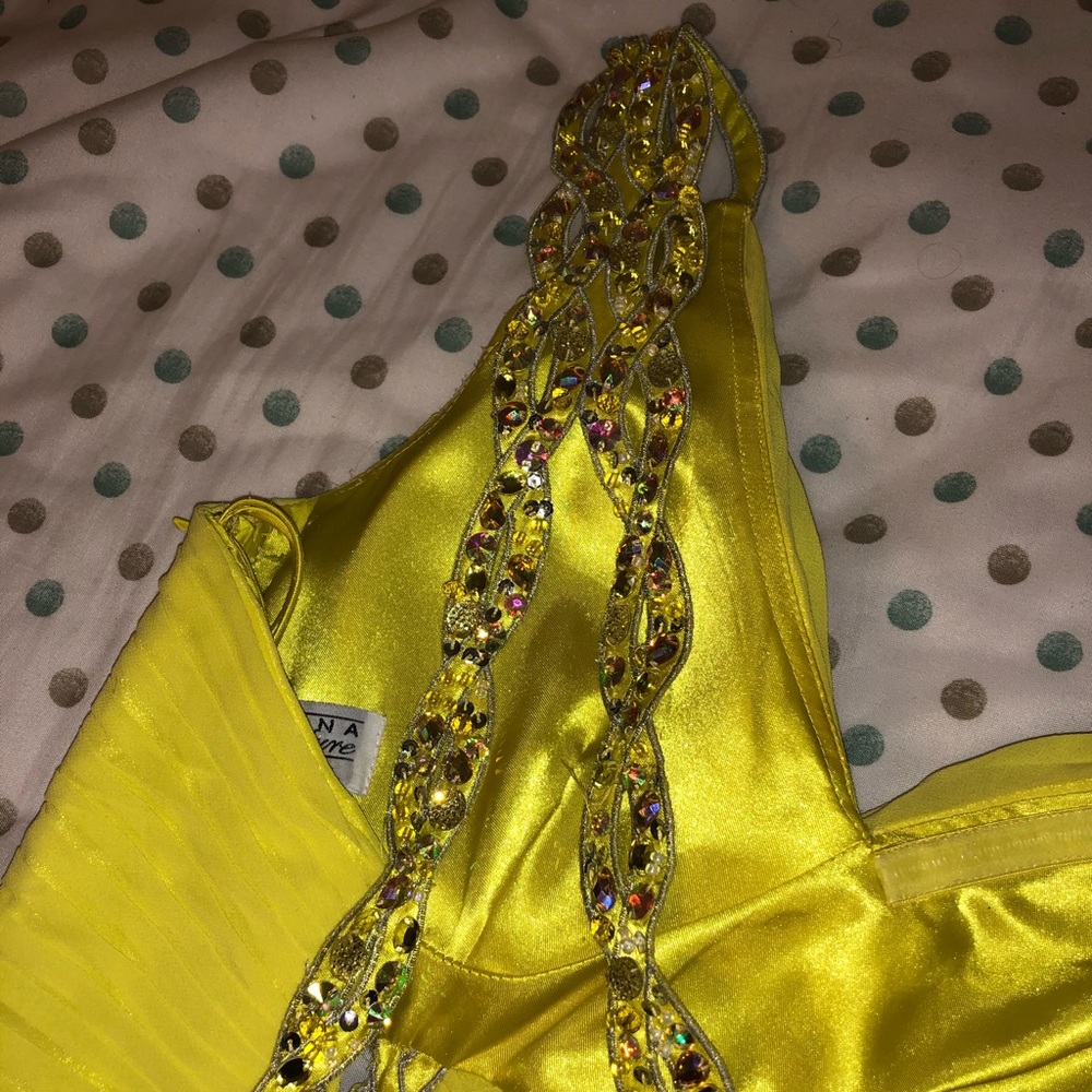 Prom/Formal Dress - Picture 9 of 9